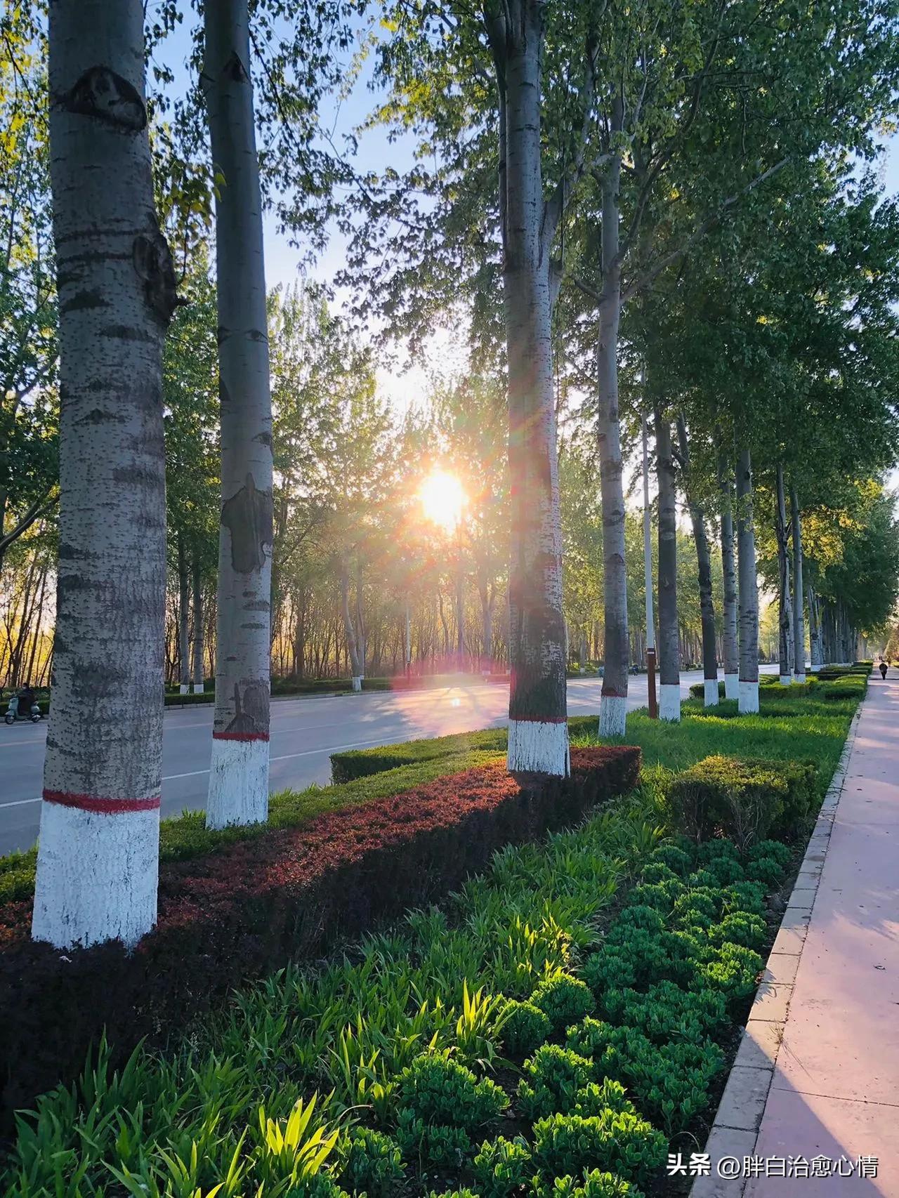 美丽风景治愈心情的句子,描写海边风景的句子段落