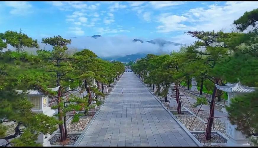 鎺㈢娉板北涔嬫梾,鎺㈢娉板北