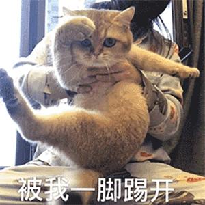 用过患有hpv患者的马桶会被感染吗,使用公共马桶会感染hpv吗