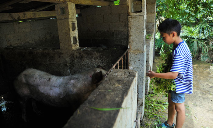 贵州夏令营21天多少钱,贵州正规夏令营有哪些