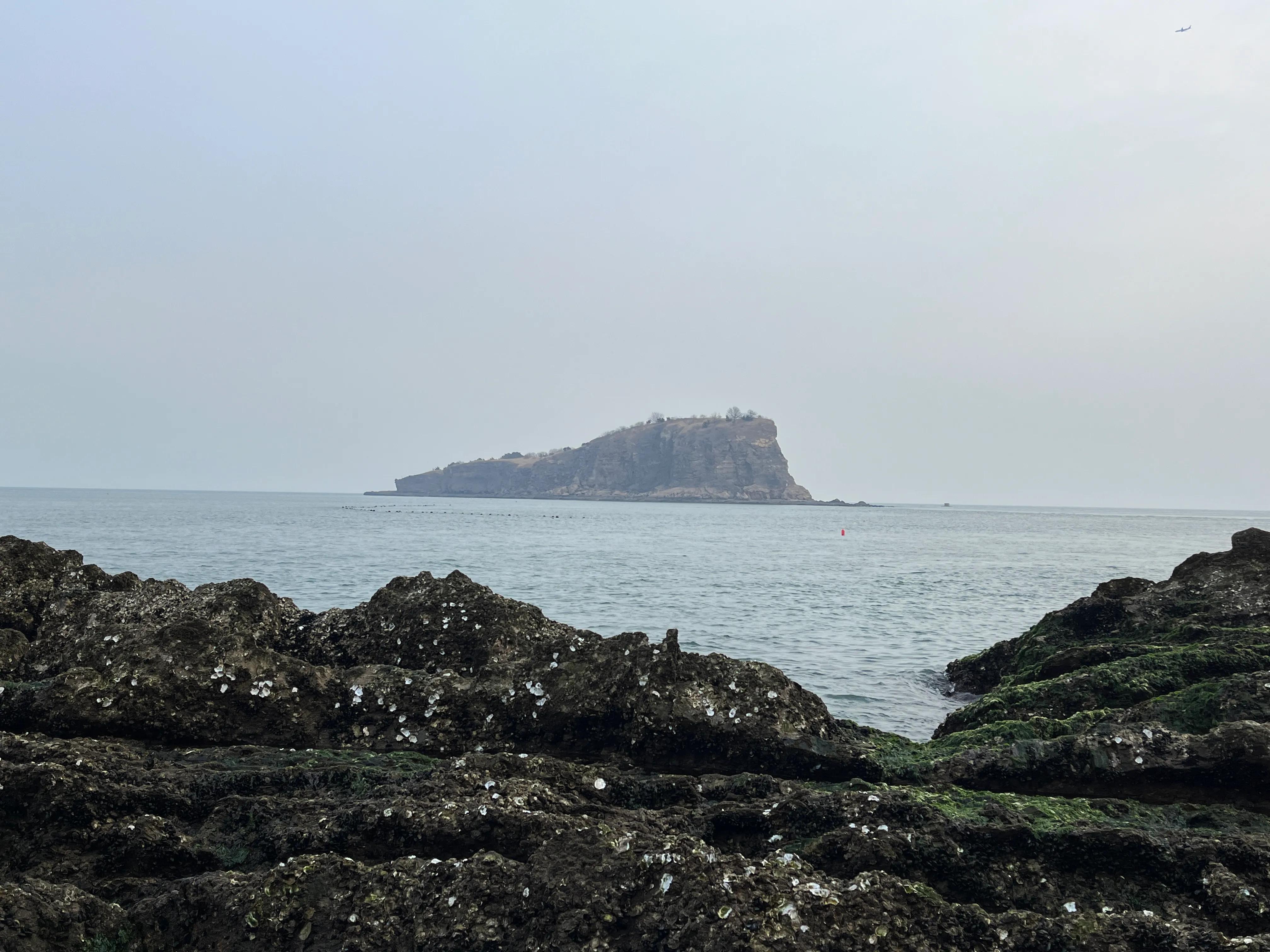 大连渤海旅游攻略最新,北国之春大连旅游攻略