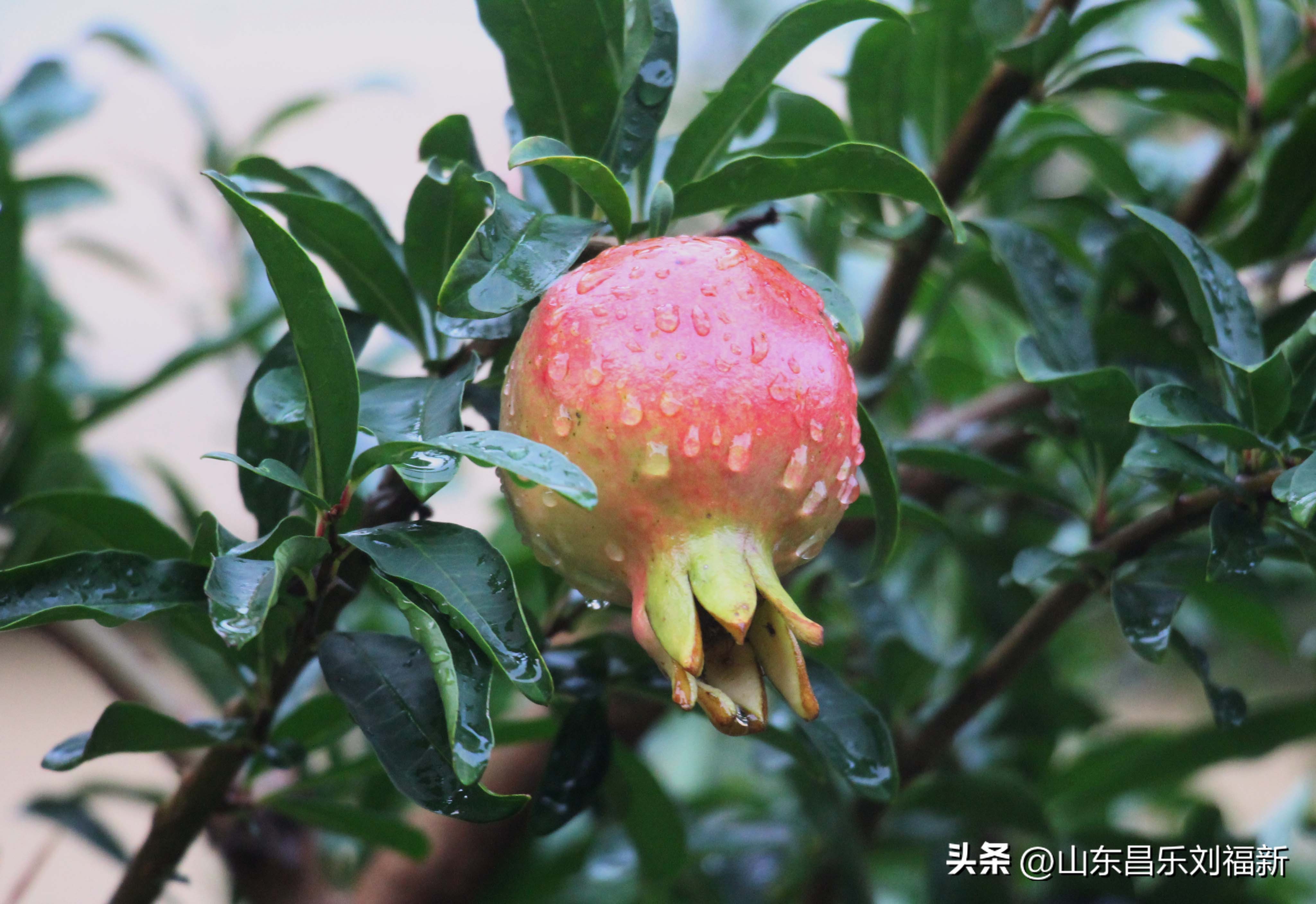 2023年8月20日有雨吗,2021年8月19日有没有下雨