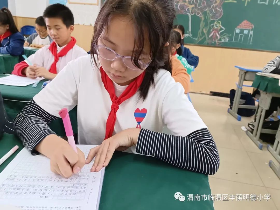 纸上风光正好真情笔端流淌——丰荫明德小学第二十届作文竞赛活动侧记