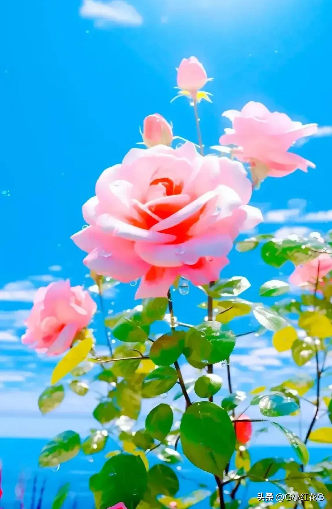 “大神级”交易规则，步入正确交易之路！