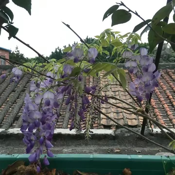 如何花最少的钱改造出租屋,怎样花最少的钱布置出租房