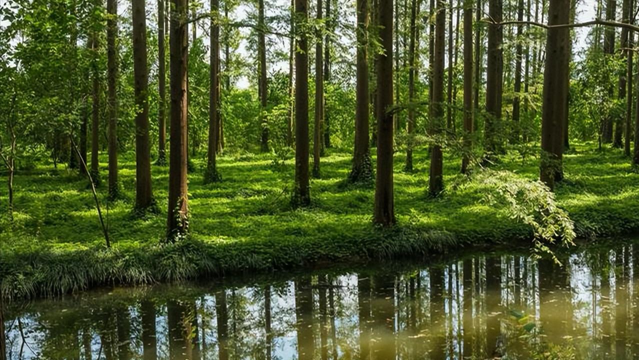 扬州游玩公园,扬州文化公园旅游攻略