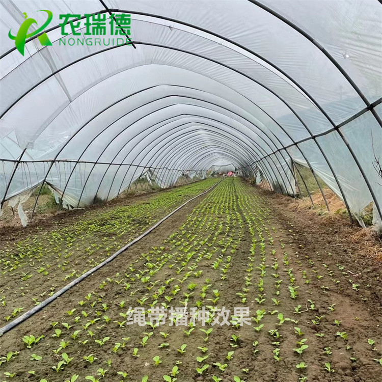 唐山种子编织机推荐,小粒种子精播机