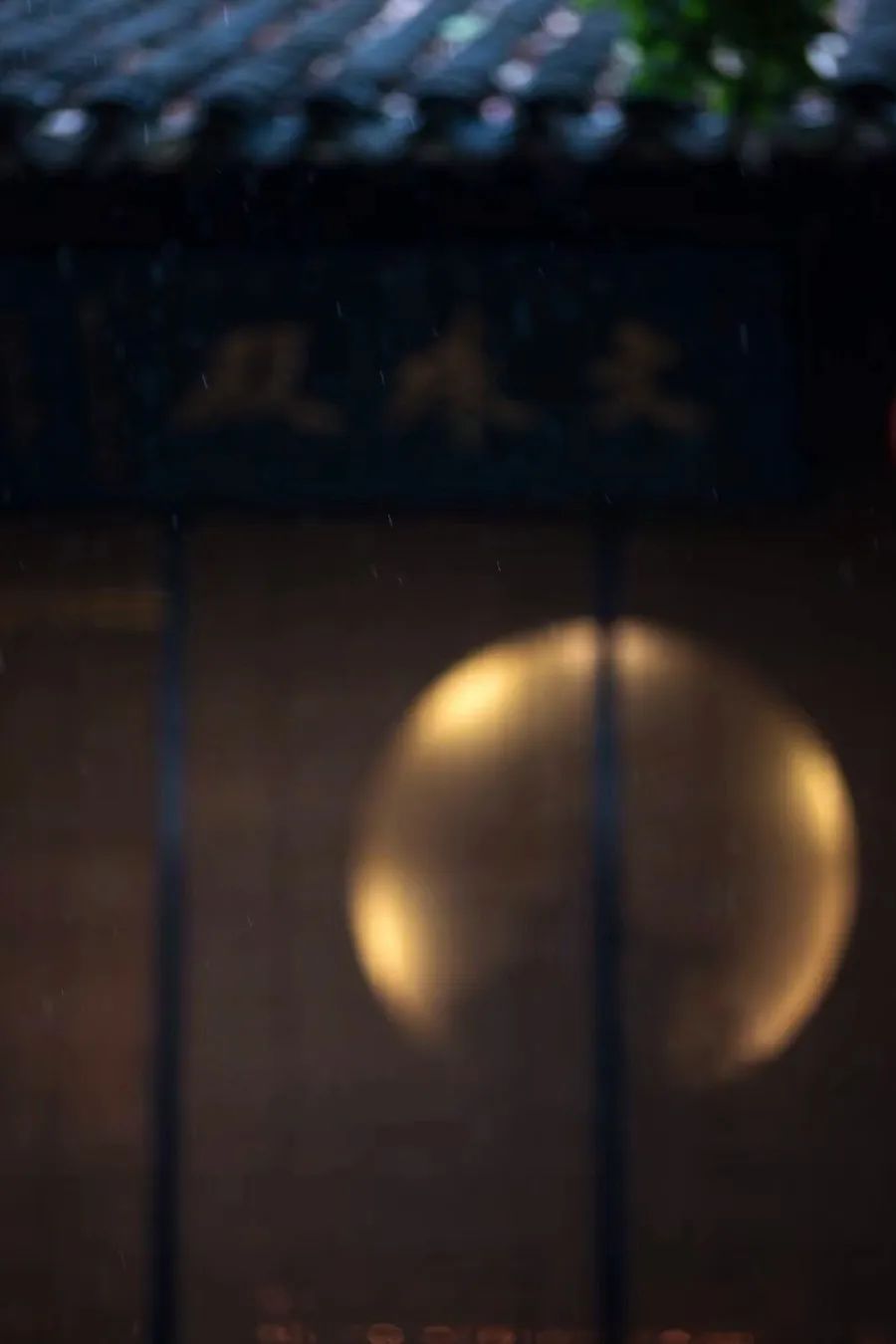 倾情荐读：时间的名字