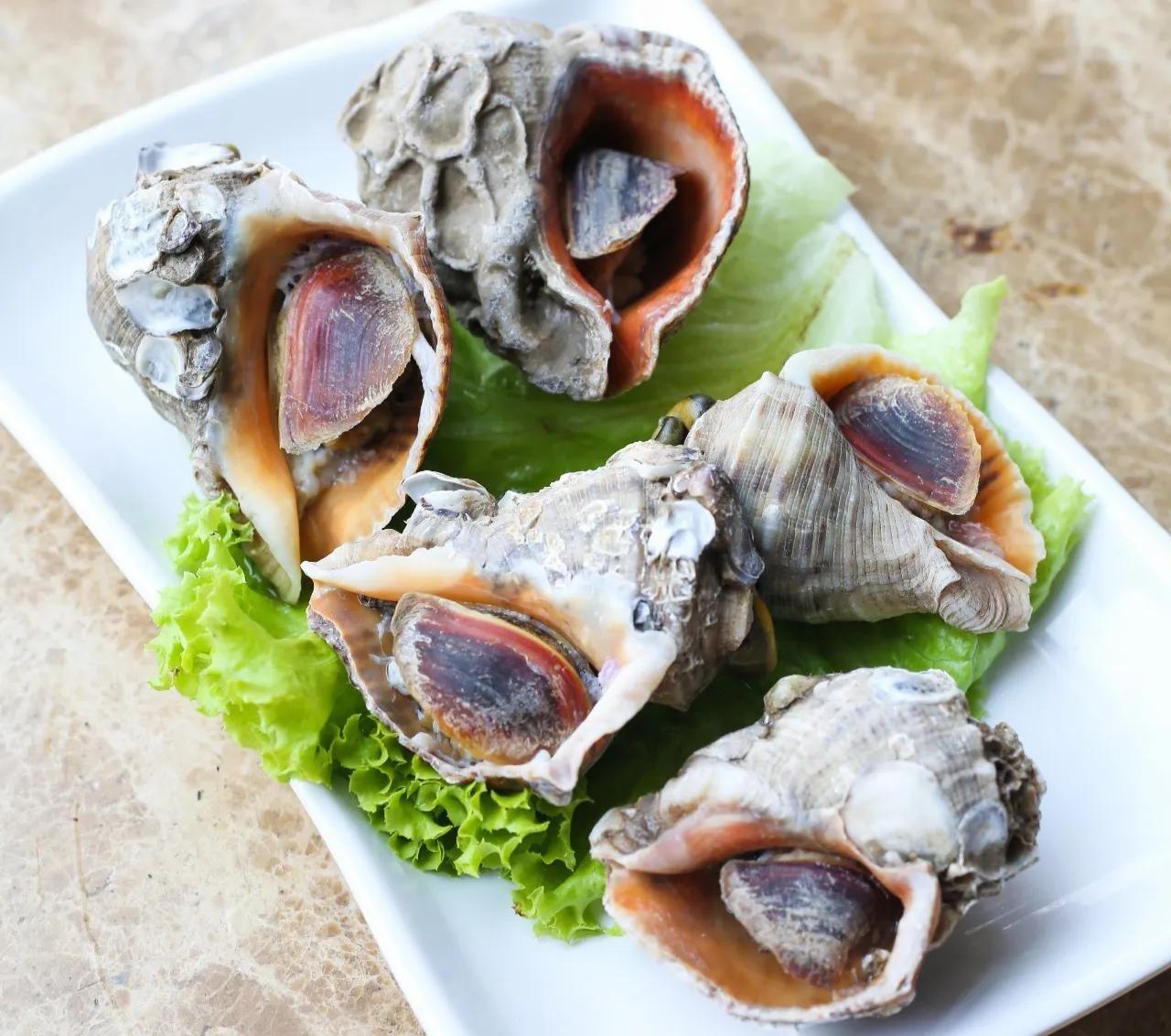 如何挑选冰冻好的小海鲜,最实用的各种海鲜做法都在这里啦