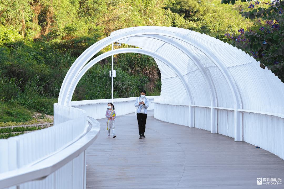 一个广东中产妈妈，决定把iPad还给喜欢游戏的孩子