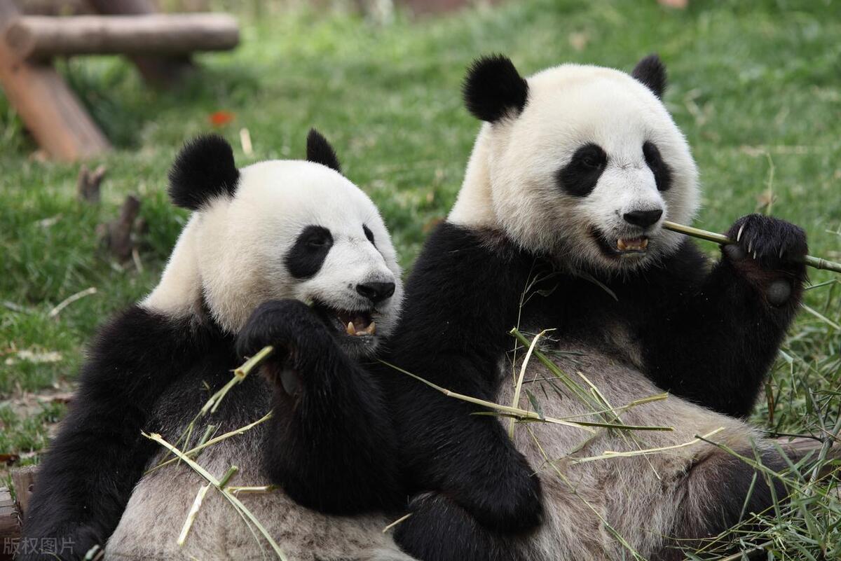各国旅游的真实惨状,各国留学生活状态分析