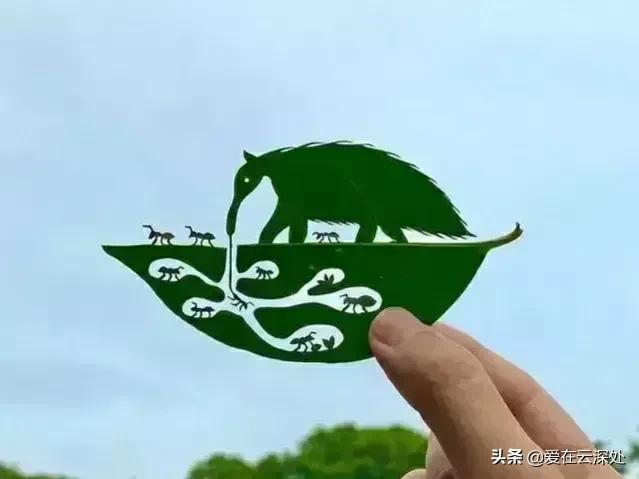 生活的美在于点点滴滴的发现,善于用双眼发现生活中的美