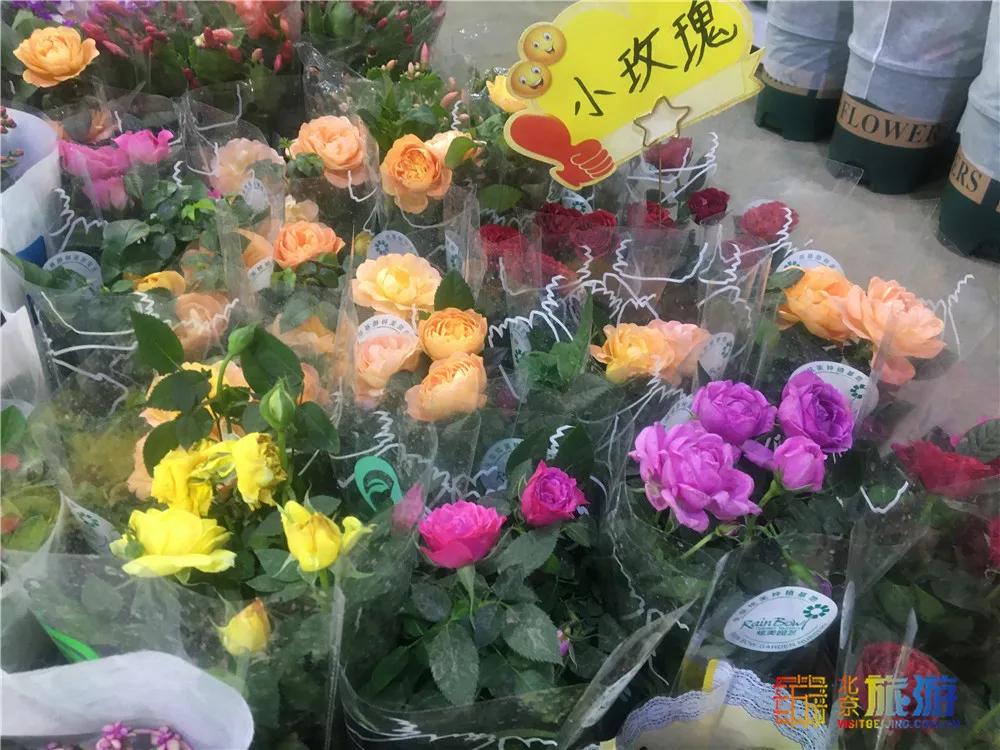 京南永清花卉批发市场,京南花卉批发市场