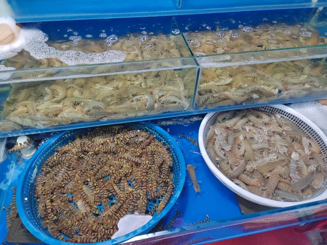 记者实地探访京深海鲜市场,昌平北七家海鲜批发市场