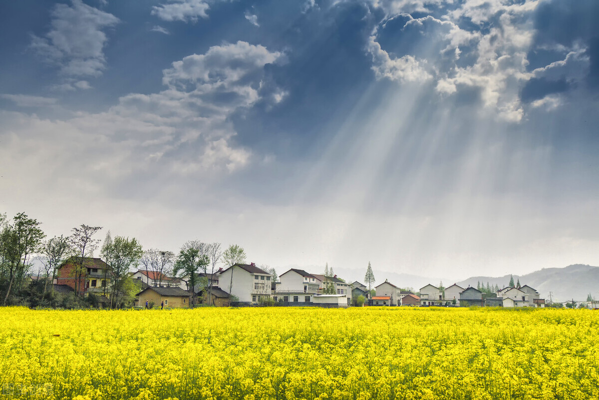 惊蛰春雷惊万物下一句是什么,惊蛰春雷一响惊百虫