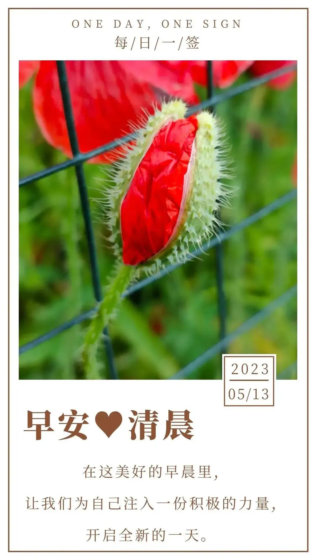 2023年农历是什么年癸卯年,农历2023年癸卯年正月结婚吉日