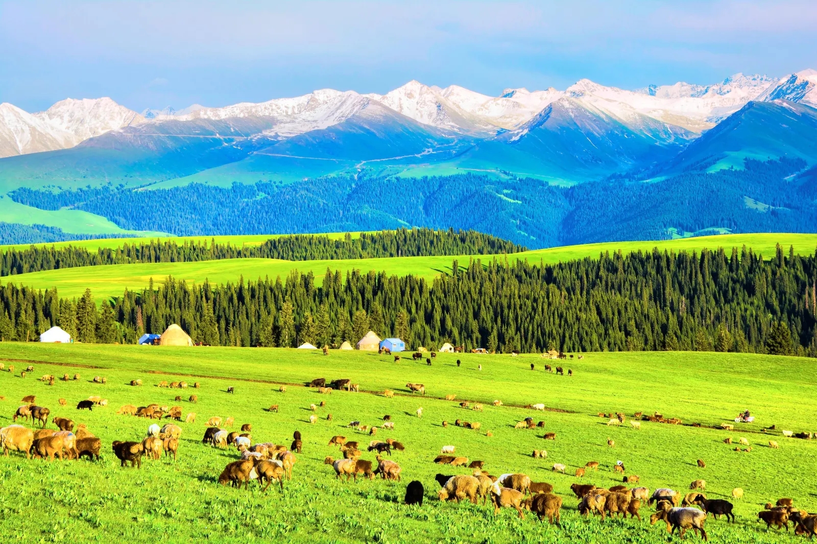 盘点新疆17个5a级风景区,国家aaaaa级沙漠旅游风景区
