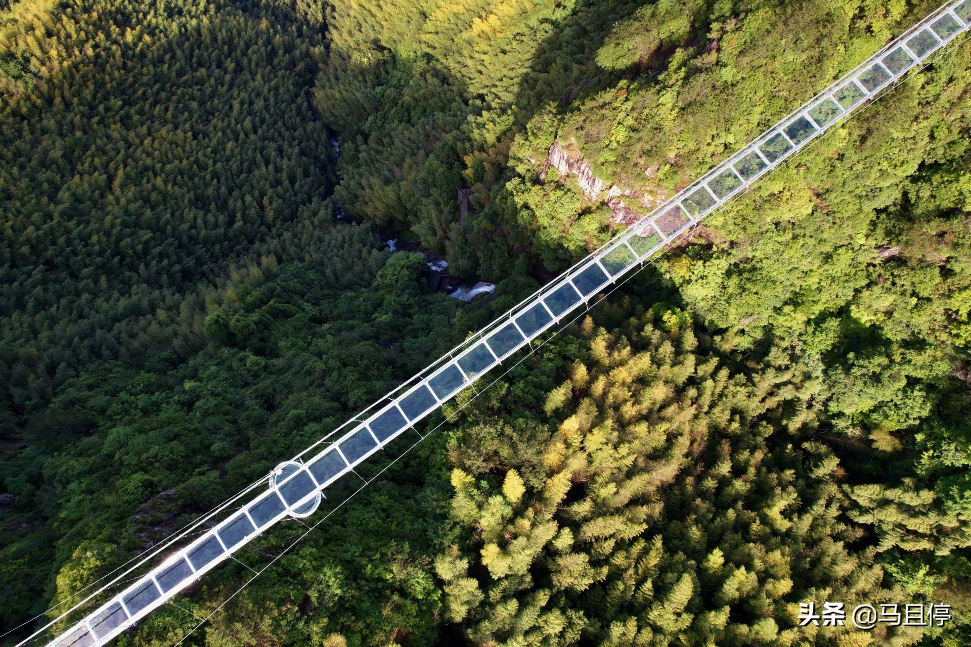 浙江丽水遂昌四天三夜,三天两夜浙江丽水旅游攻略