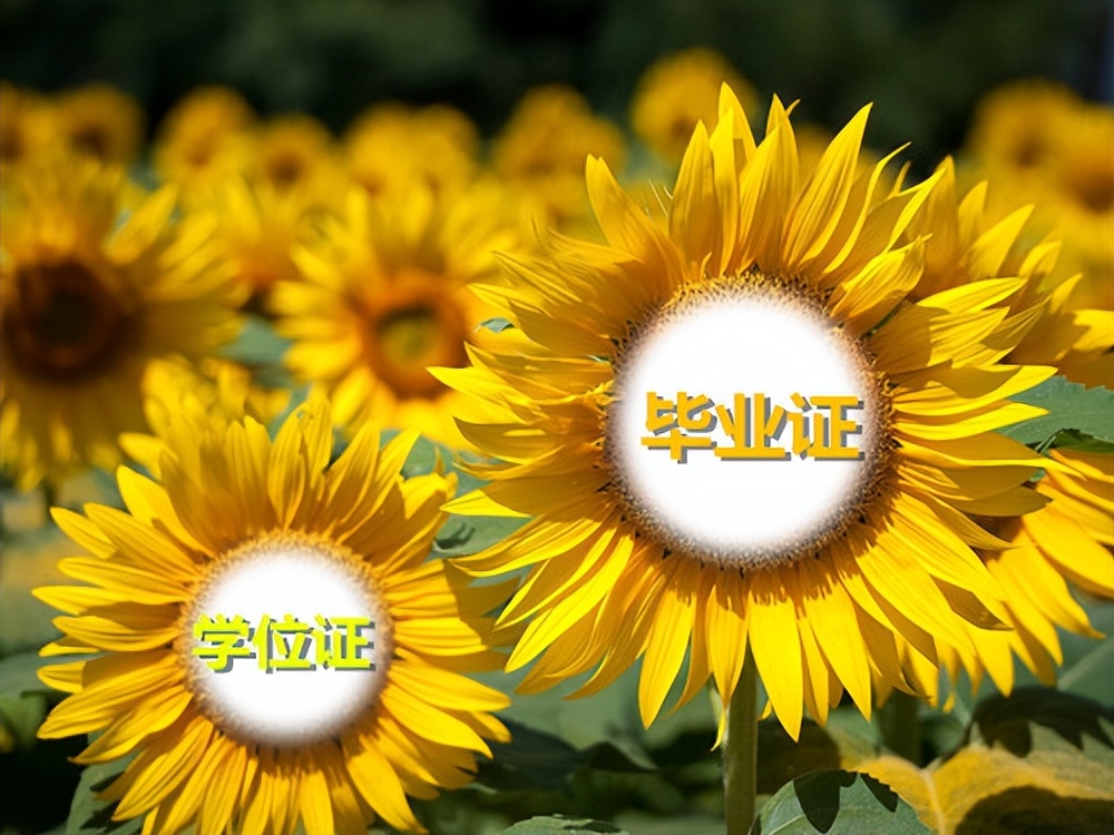 毕业证学位证丢了怎么找电子版的,毕业证学位证丢了怎么进行学历认证