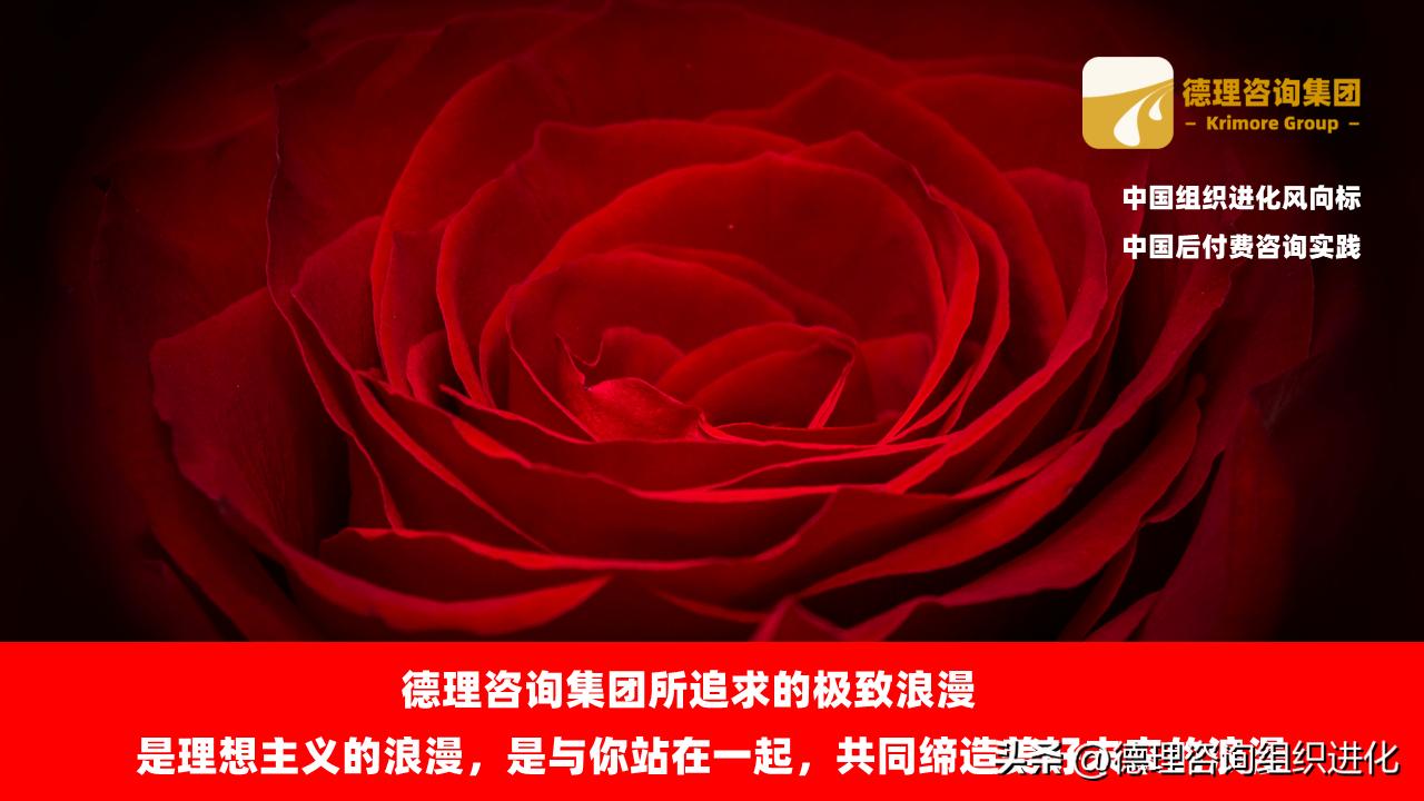 德理咨询集团：专业销售技巧-销售角色认知与流程关键-krimore