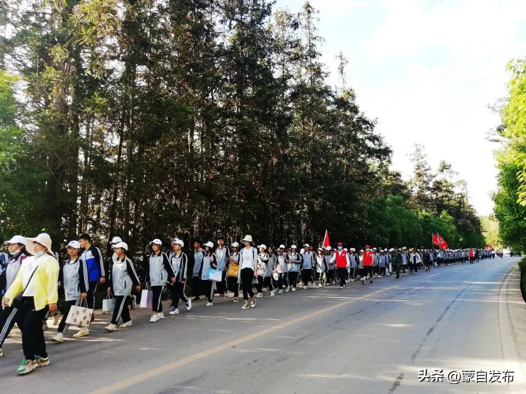 美食、乐队、集市...超多活动精彩来袭！这个“五一”玩转蒙自