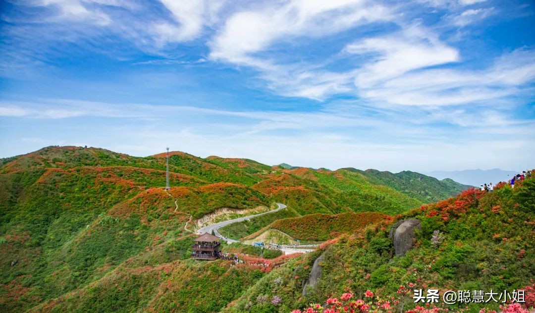 一场烟花登顶热搜！满城美食火成顶流，这座夏日小城太宝藏了！