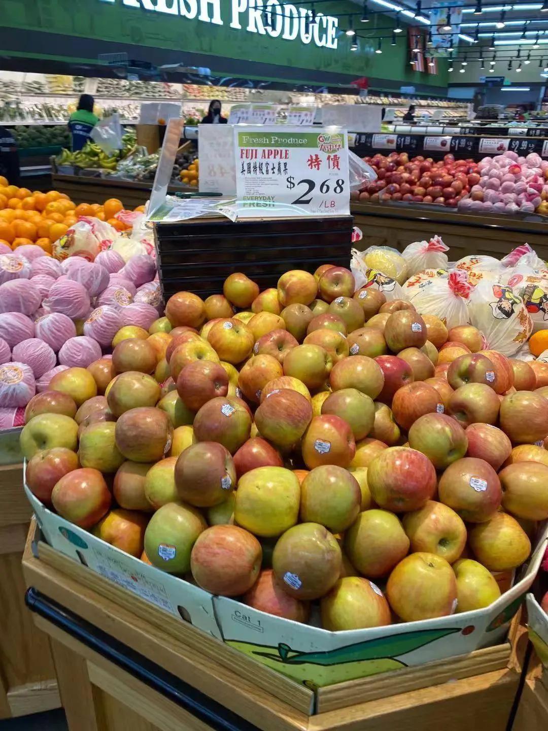 美国之旅国语,《美国之旅》