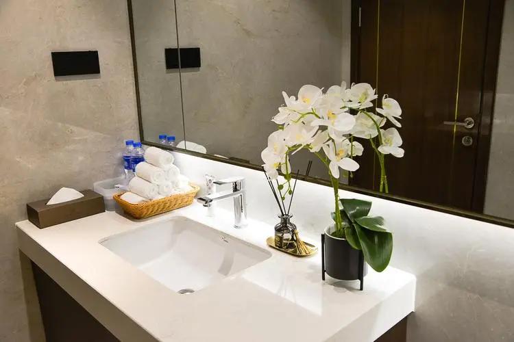 厕所除臭净化空气的花,厕所除臭花