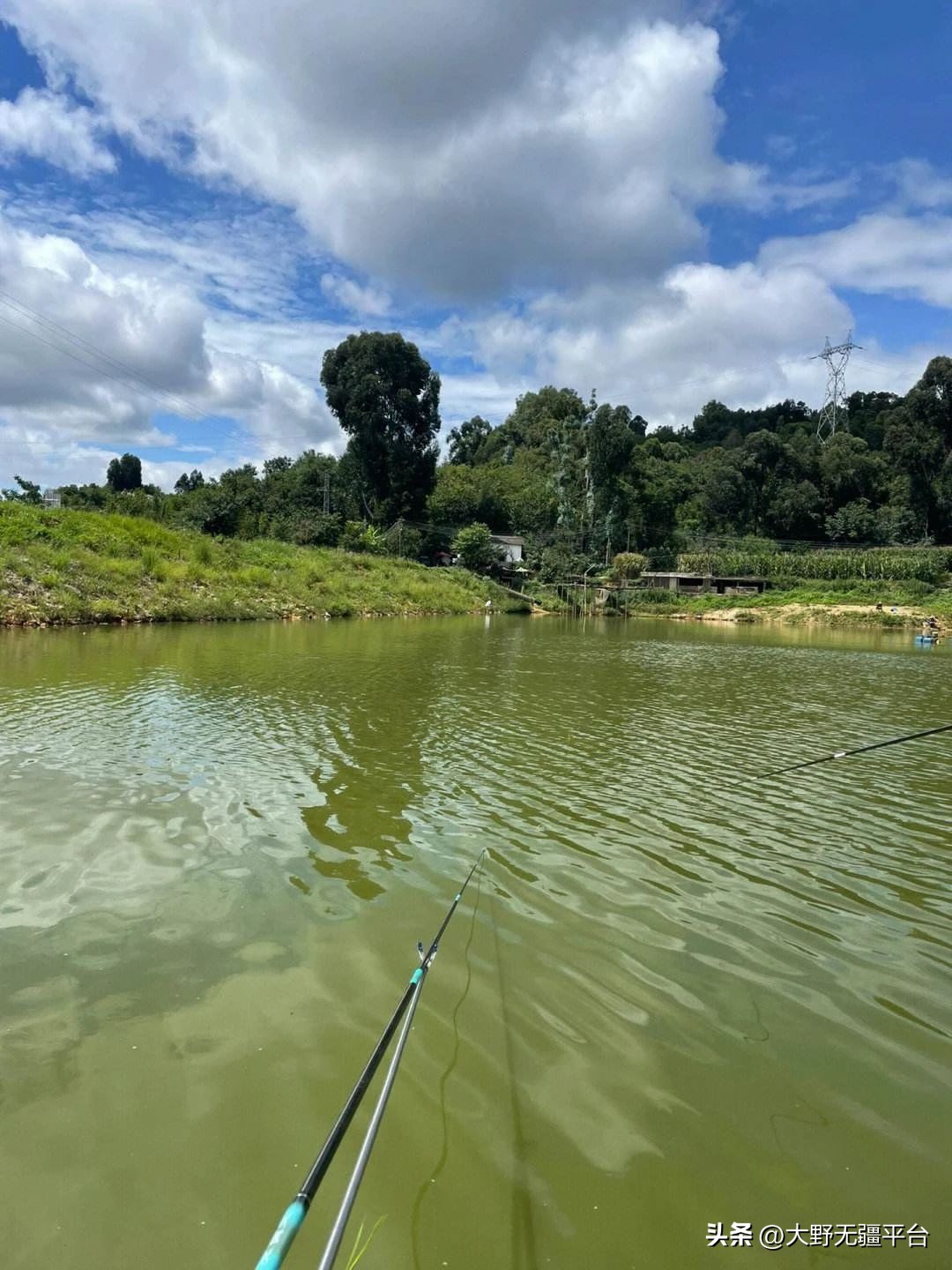 小说钓鱼执法完整版,小说钓鱼系统