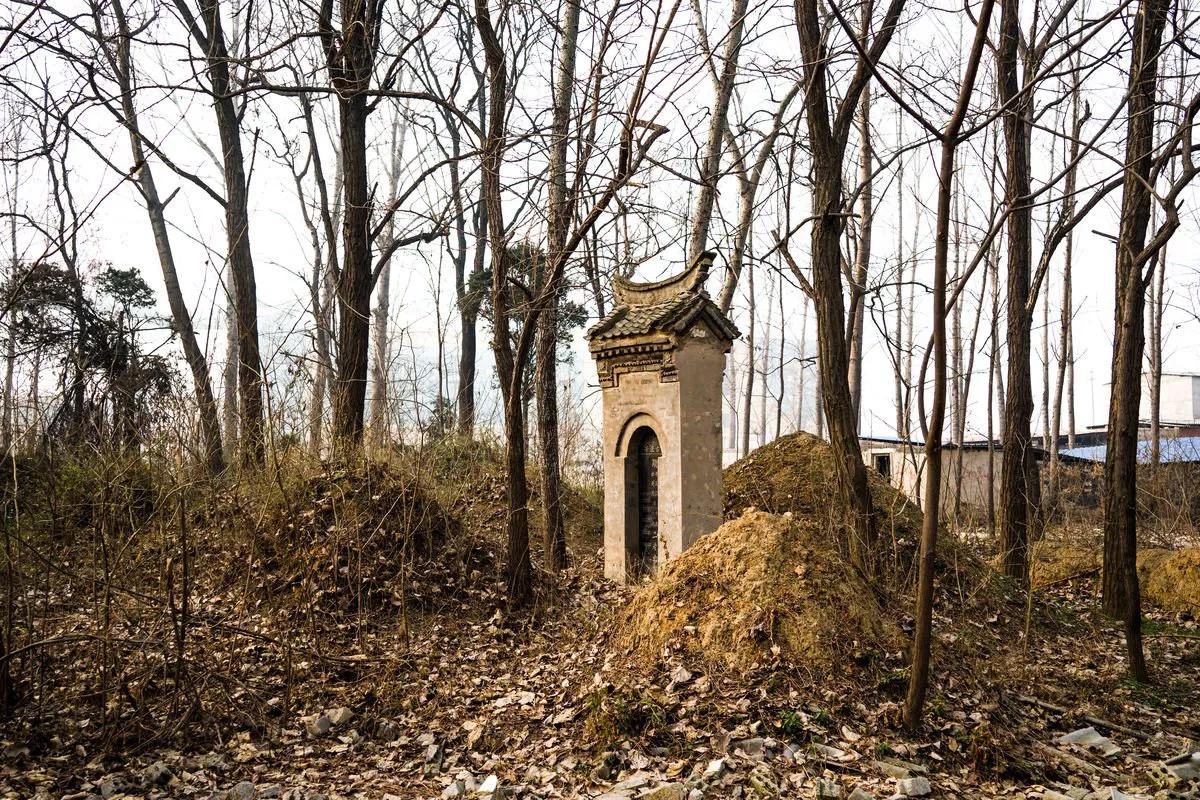 08年湖南村民捡到头骨上的“肉”,咬定是棺材阿魏,专家怎么说?