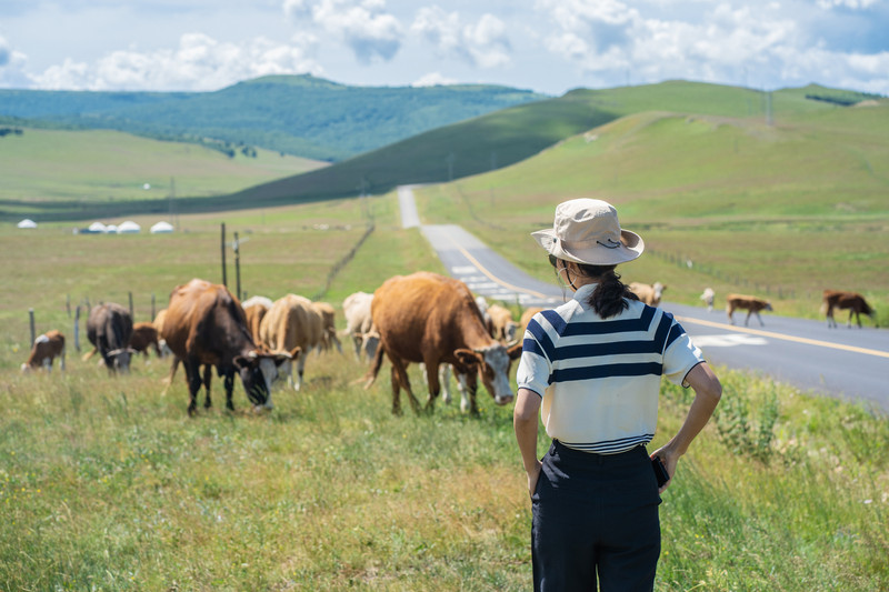 赤峰周边最美的公路,赤峰中国草原自驾游旅游胜地