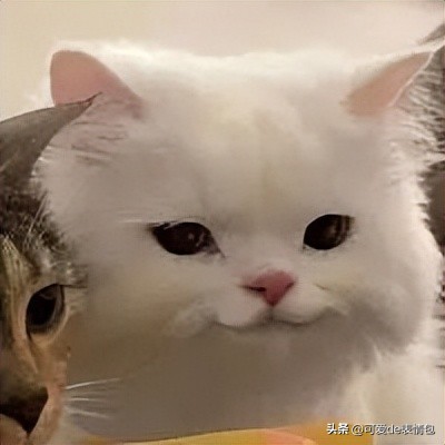 抖音黑人老嫂子搞笑表情包合集