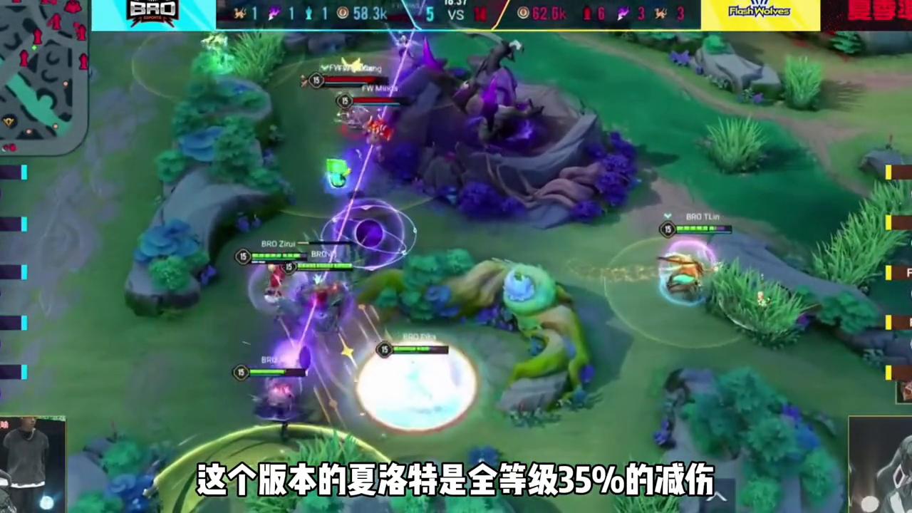 弗洛伦kpl,王者荣耀世冠比赛弗洛伦