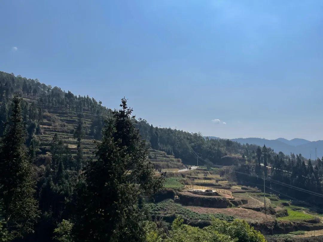 大专课上，老师教我洗澡、避孕、正常做人