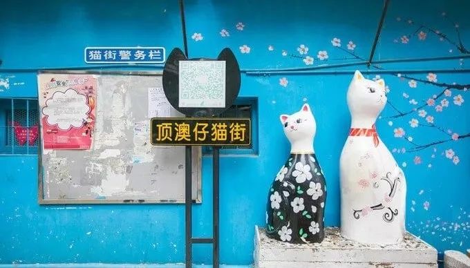 厦门最划算攻略 (去厦门五天最强攻略)