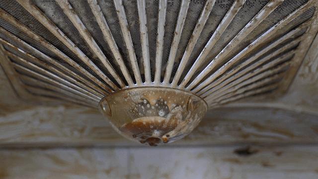 因为便宜而被忽视的良心国货,这几样国货虽丑但真的很好用