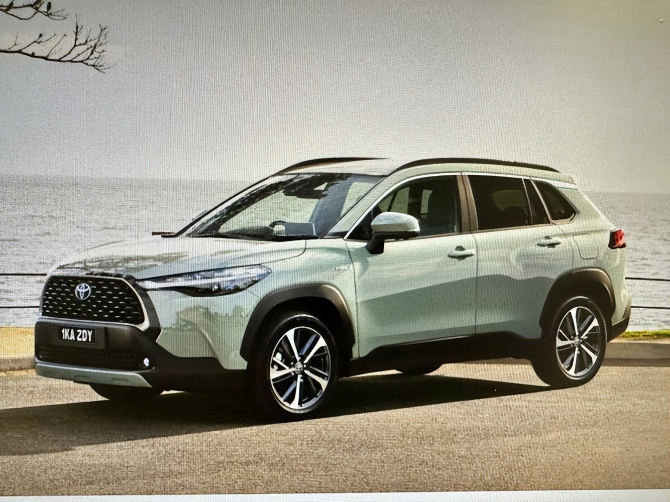 国产汽车十大排名公布最新,目前国内汽车排行榜最新