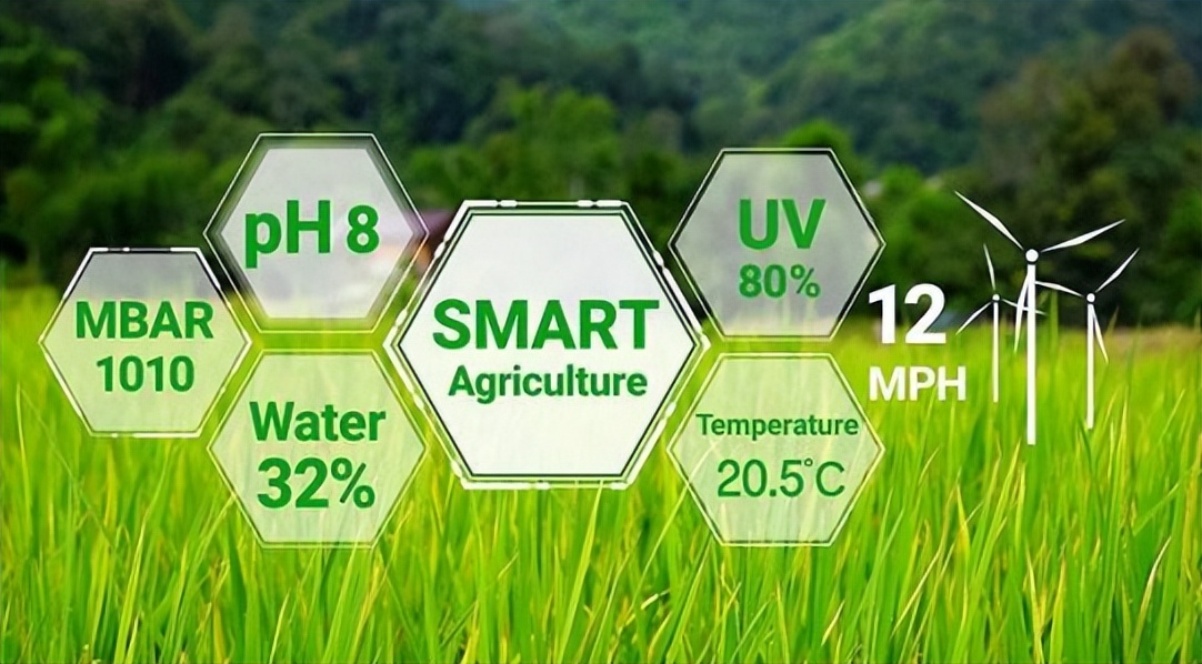 农业产业周报|老乡鸡、洪九果品、双汇发展、荃银高科最新动态