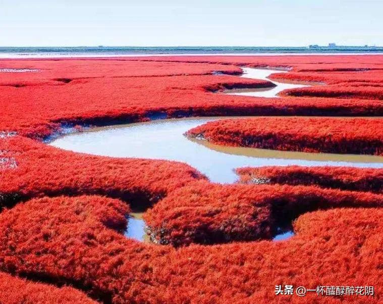 谈闿明次韵雅和雕月书生的词作《满江红》