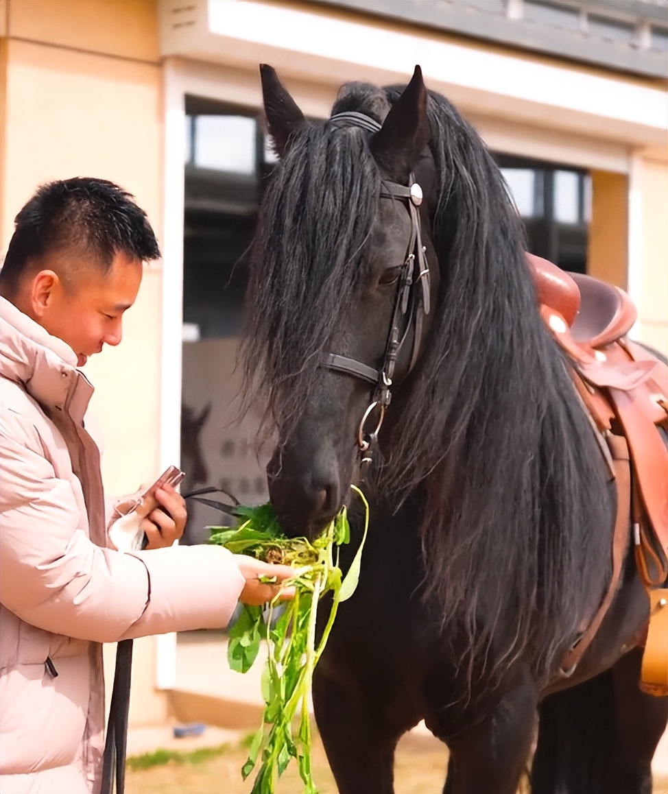 拿海鲜喂鸡、20秒36万进账，网红这一职业，真就“钱”途无量？