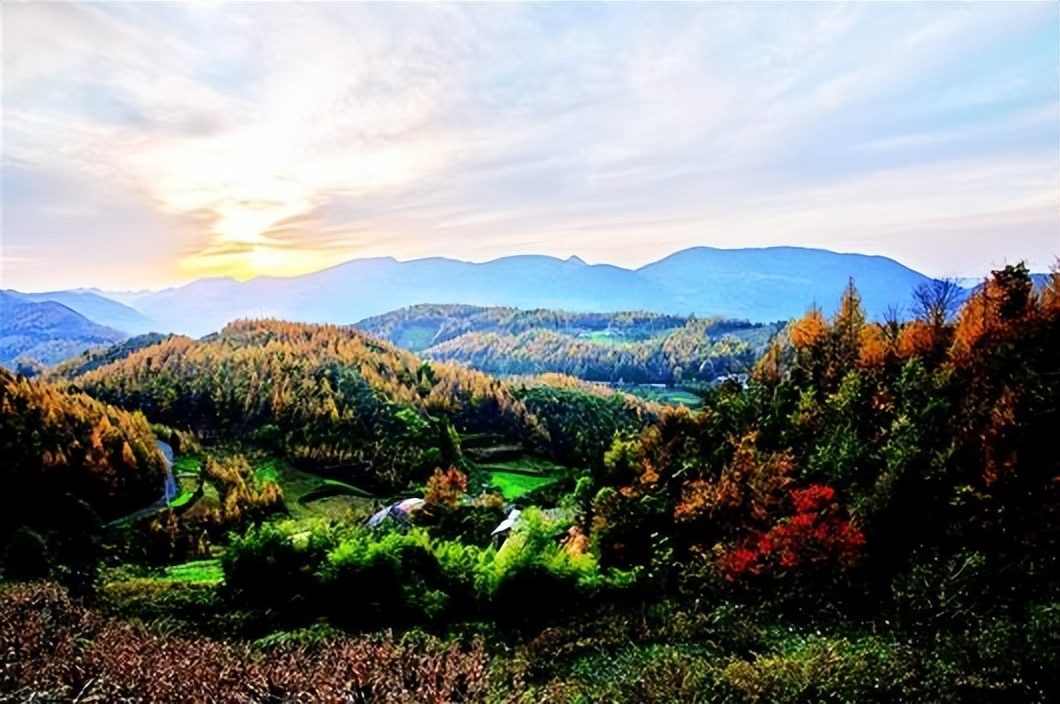 多元共治生态治理模式,多元共治的生态治理模式