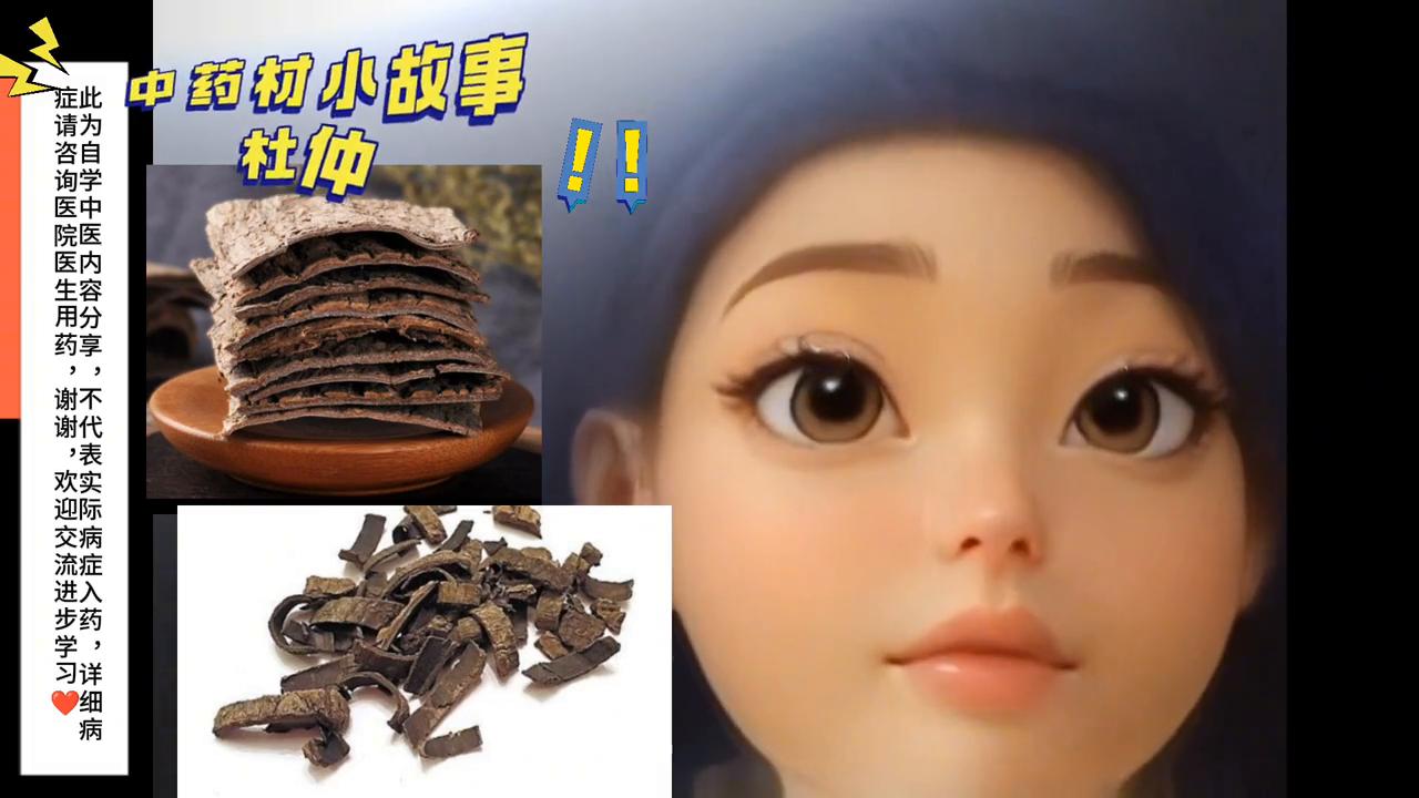 中药材杜仲金樱子,中药杜仲的故事