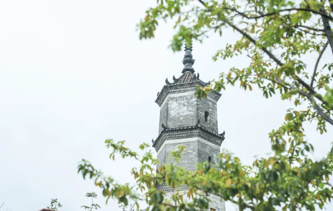 深圳宝安区两日游,深圳宝安区一日游推荐自由行
