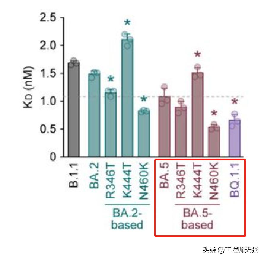奥密克戎加速变异，地狱犬BQ.1.1来了！传染力致病力免疫逃逸咋样