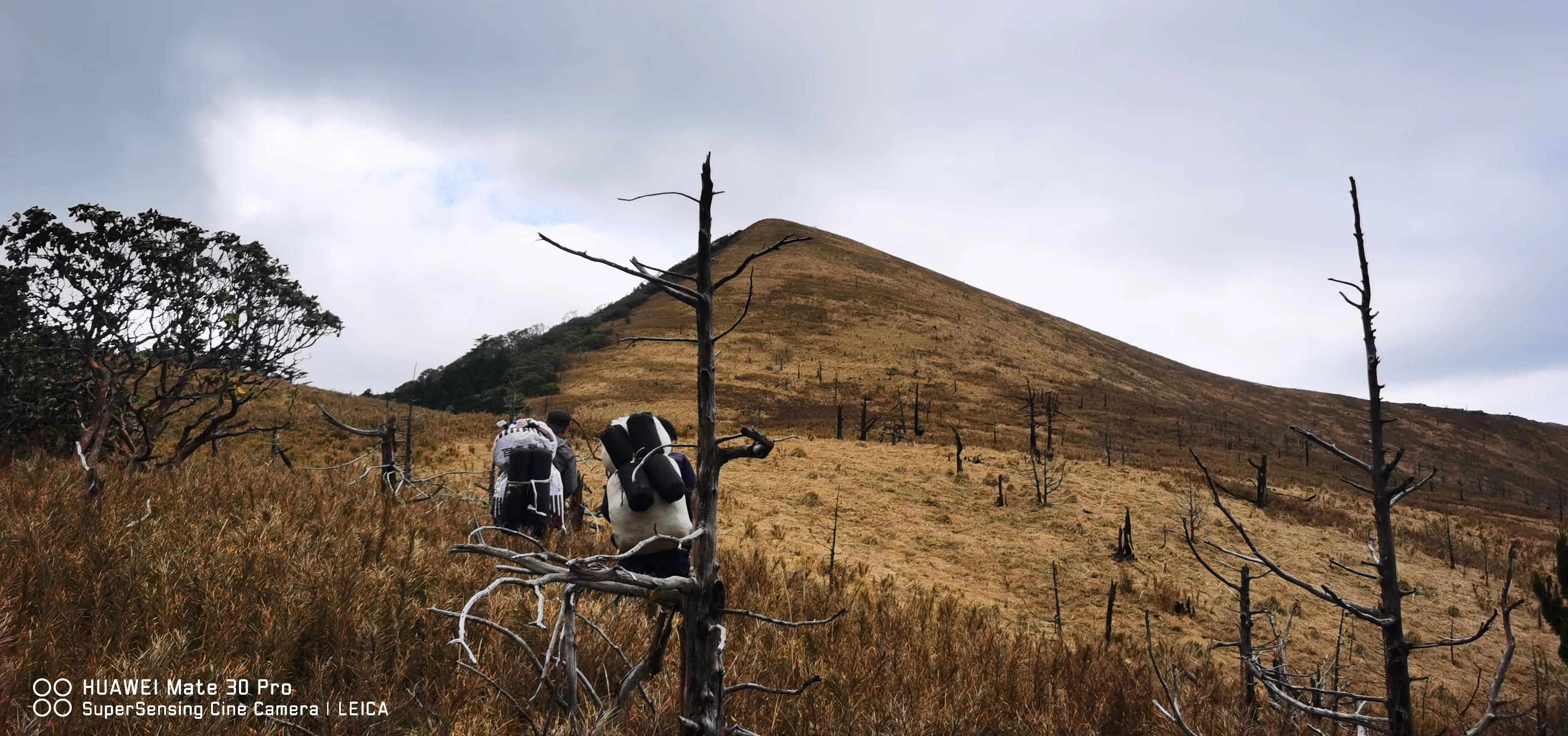 中国百慕大黑竹沟了解一下,中国百慕大黑竹沟近期气温