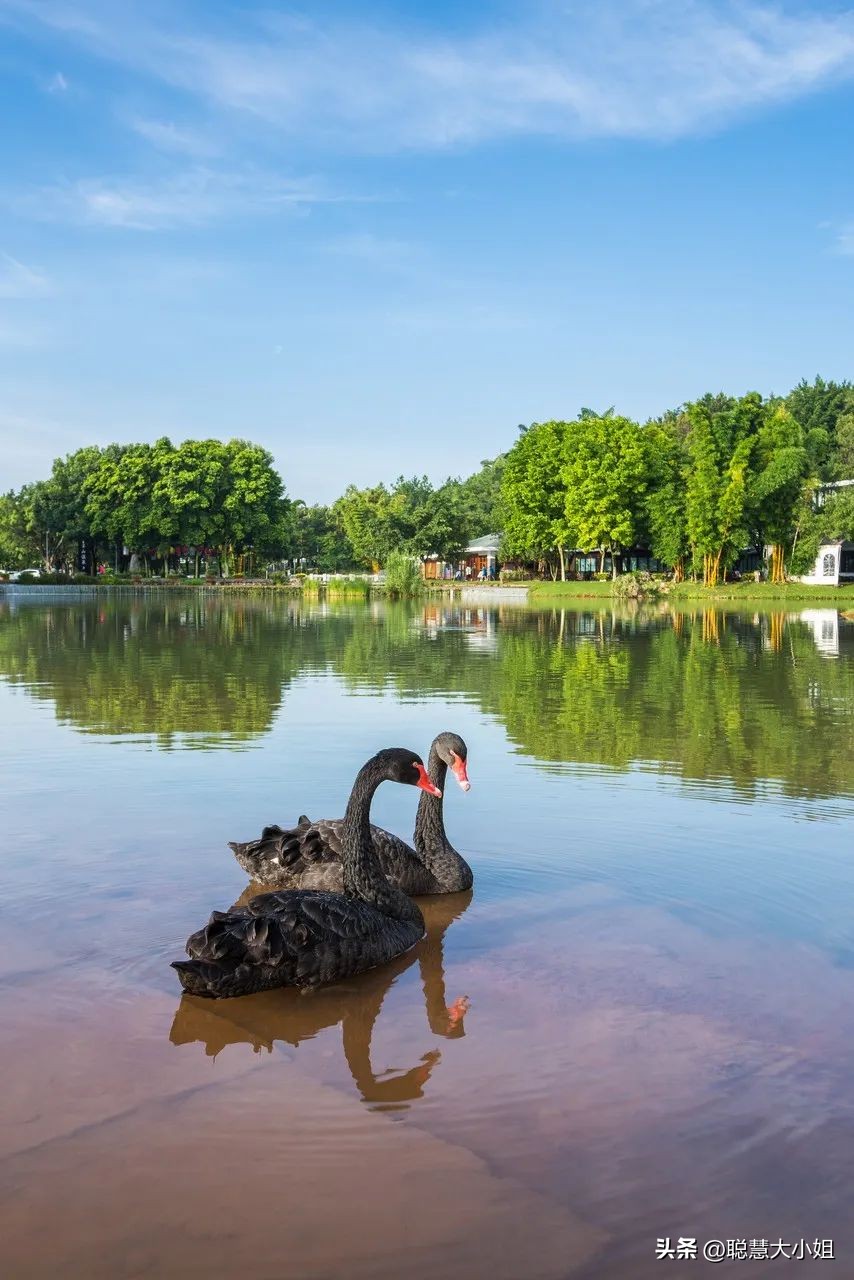 云南弥勒泡温泉最佳时间,云南弥勒物价怎样