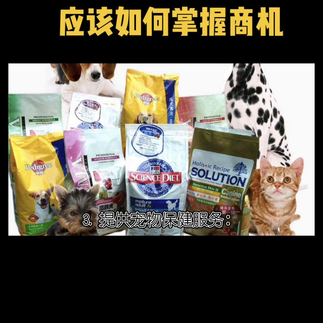猫市场怎么买猫不被坑,宠物市场挑猫的正确方法