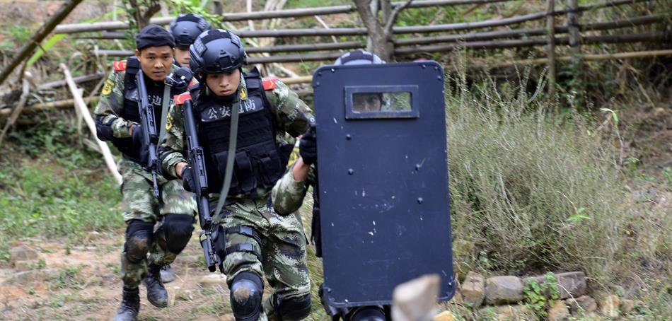 军改后的武装警察部队,军改后中国武警部队几个警种