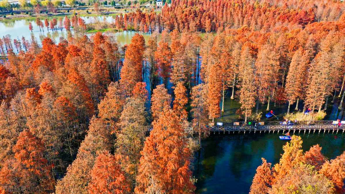 上海国庆值得去玩的地方推荐,上海十一游玩推荐免费