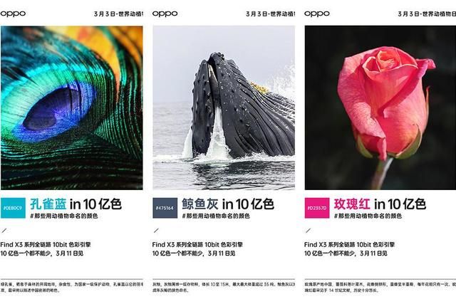 一口气看完七部国产高分电影,喜剧电影推荐大片9.0以上评分国产